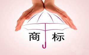 蕪湖食品商標(biāo)注冊(cè)有哪些流程